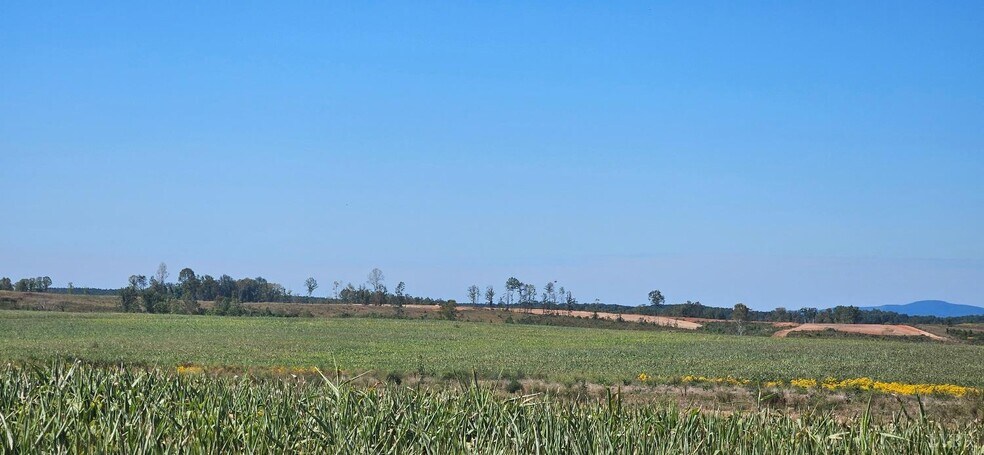 More Photos Of Glenmore Road, Scottsville Land For Sale