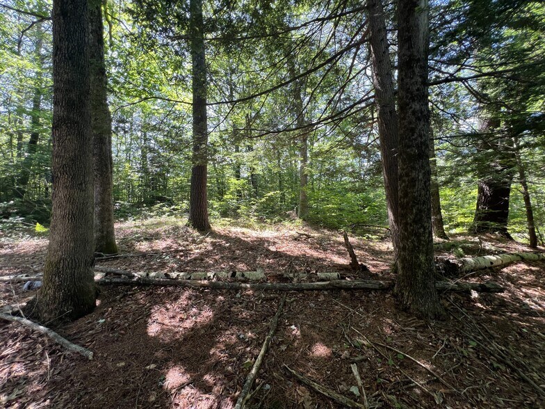 More Photos Of 155 Route 103, Warner Office Residential For Sale