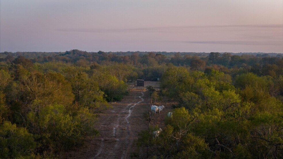 More Photos Of 879 County Road 421, Gonzales Land For Sale