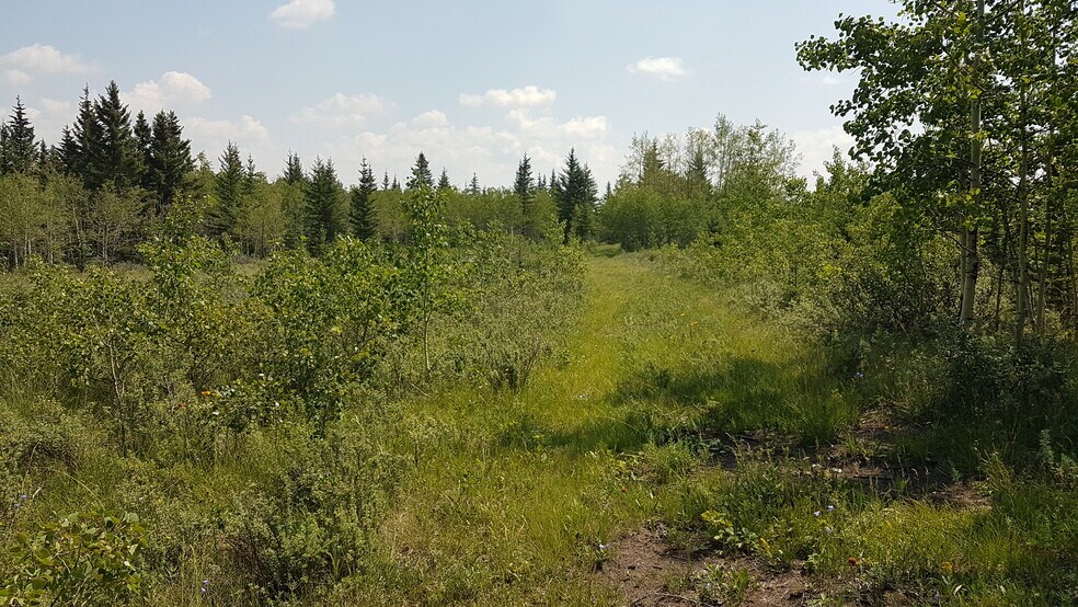 More Photos Of 1 Bow River, Rocky View No 44 Land For Sale