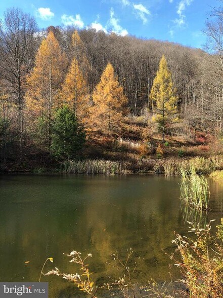 More Photos Of 1226-1227 Cross Fork Creek Rd, Cross Fork Land For Sale