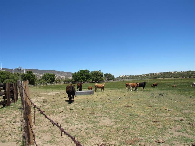 More Photos Of McCain Valley R McCain Valley rd, Boulevard Land For Sale