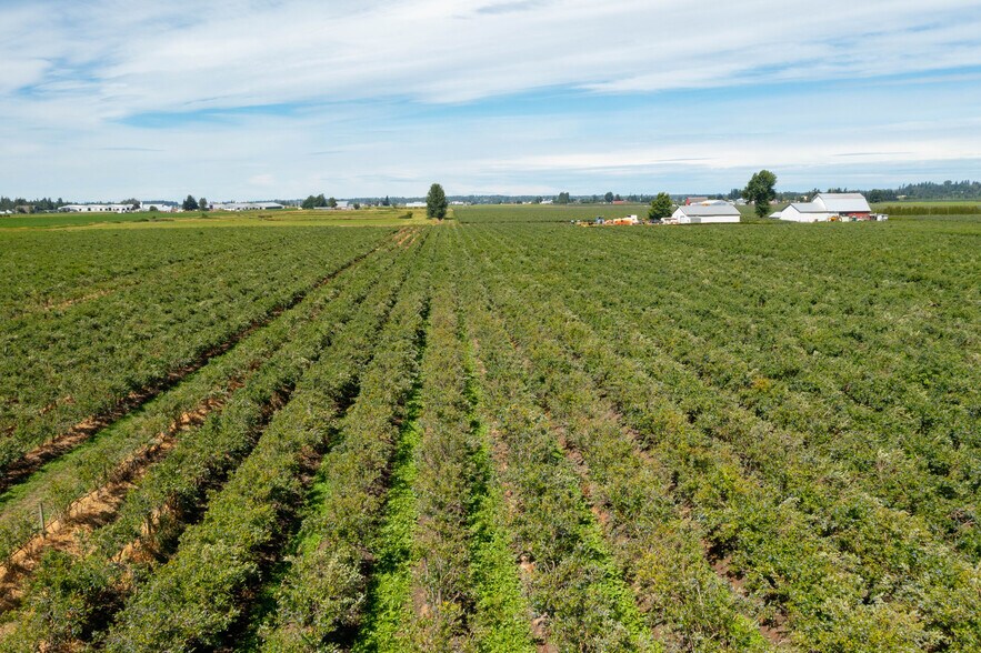 More Photos Of 9586 Bender Rd, Lynden Land For Sale