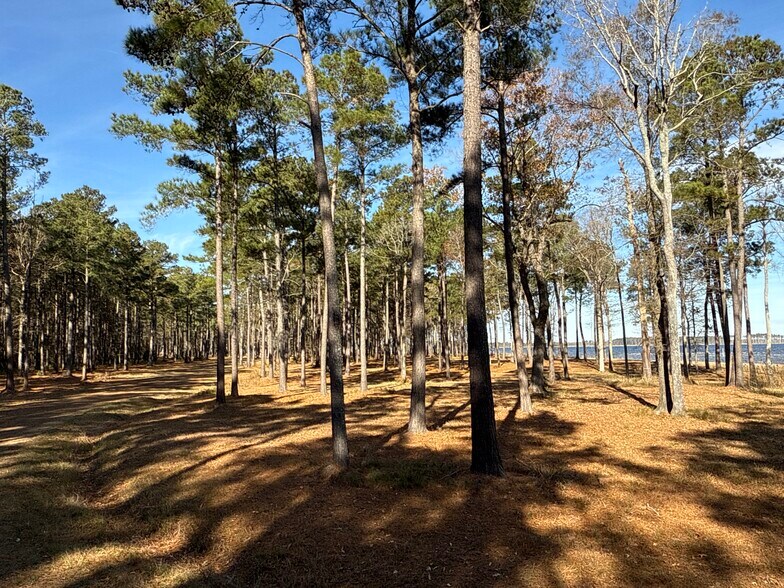 More Photos Of 0 Norfleet Shores Road, Belhaven Land For Sale