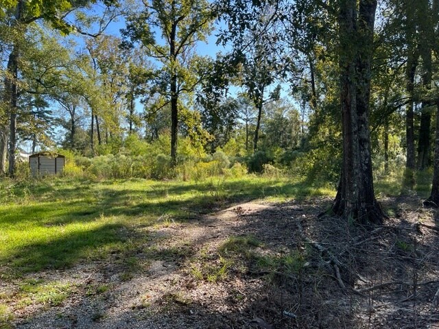 More Photos Of 29960 Henderson Ln, Walker Land For Sale