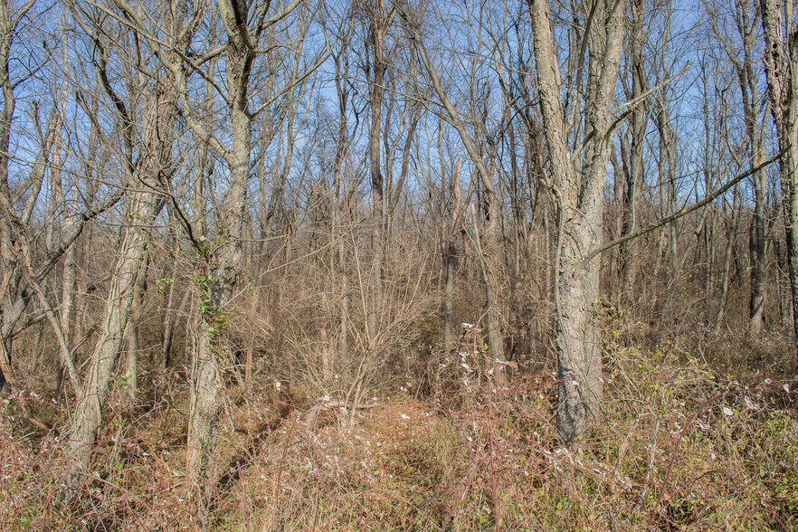More Photos Of Remainder T.M Opequon Connector rd, Kearneysville Land For Sale
