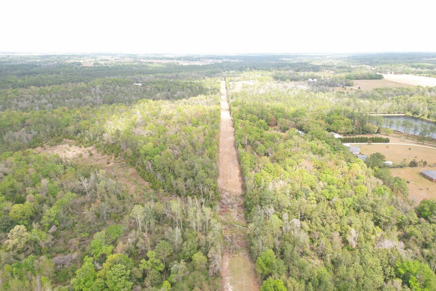 More Photos Of 12960 County Road 48, Silverhill Land For Sale