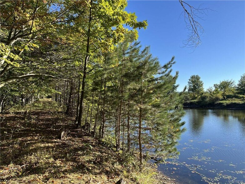 More Photos Of 10661 W Lake Rd, Ripley Winery Vineyard For Sale
