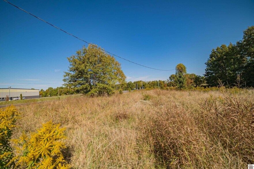 More Photos Of 8635 Cairo Rd, West Paducah Land For Sale