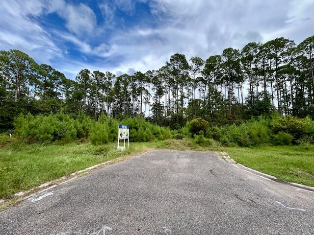 More Photos Of 97124 Elk Creek ct, Fernandina Beach Land For Sale