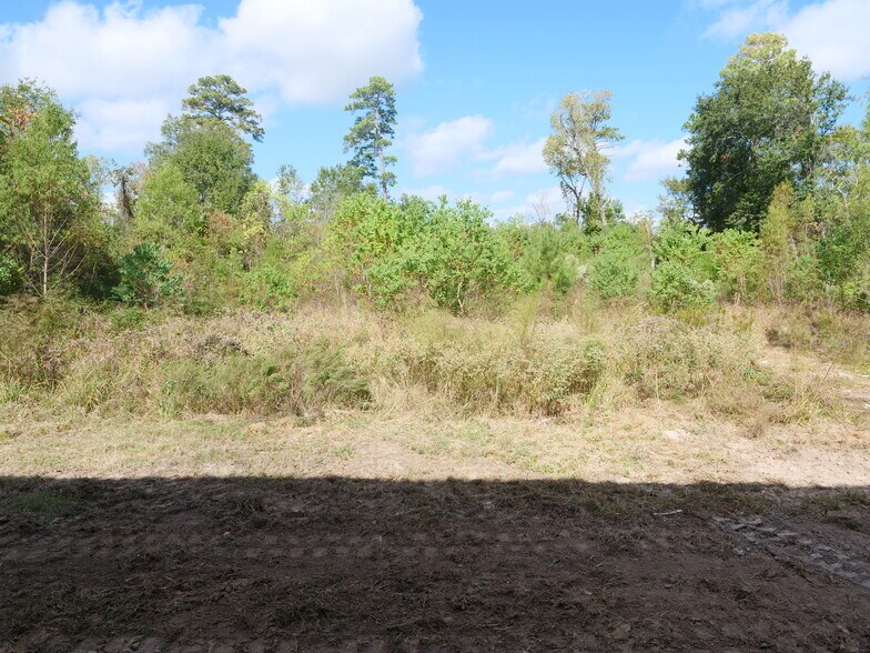 More Photos Of 2529 Sciaaca Rd, Spring Office For Sale