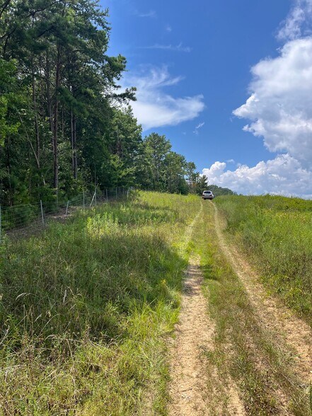 More Photos Of 7989 AL-75, Pinson Land For Sale