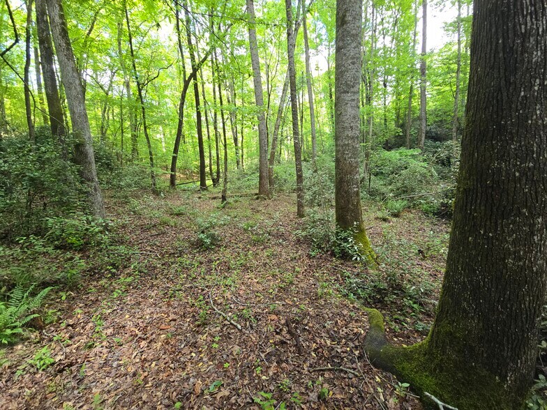 More Photos Of Davis Lake Rd @ Old Talbotton Rd, Thomaston Land For Sale