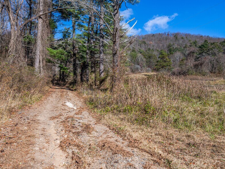 More Photos Of 300 Baird Cove Rd, Asheville Land For Sale