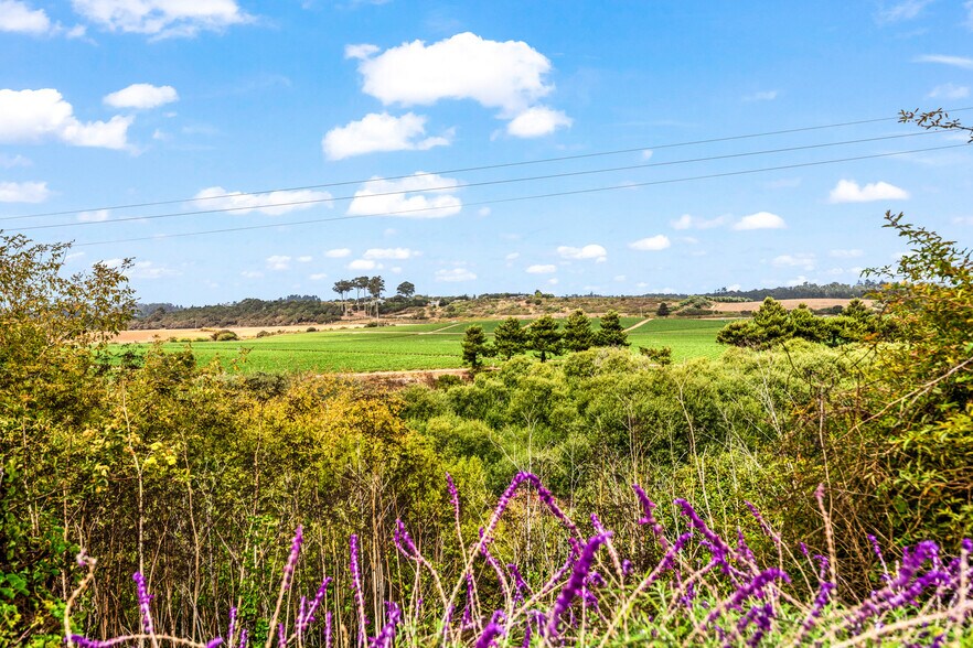 More Photos Of 1258 San Andreas Rd, La Selva Beach Hospitality For Sale