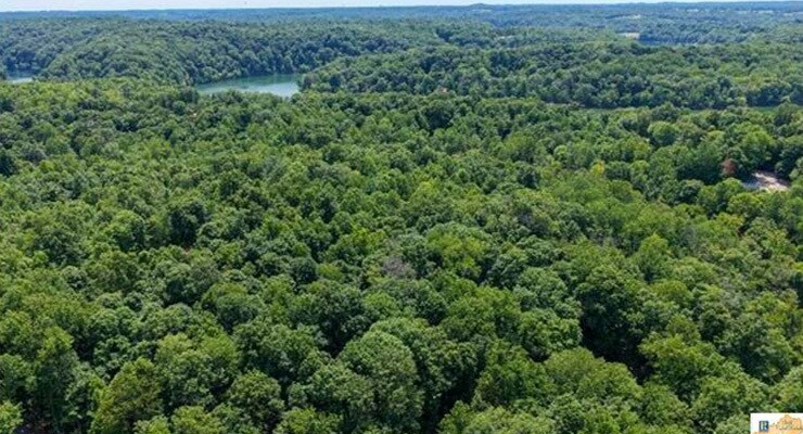 More Photos Of 0 Wilderness Road, Mammoth Cave Land For Sale