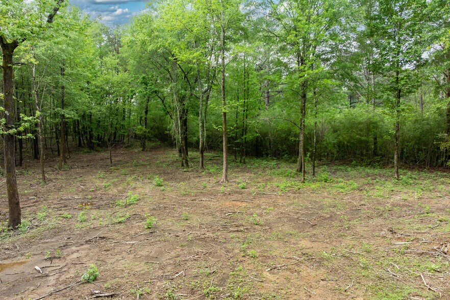 More Photos Of 899 US Highway 31, Warrior Land For Sale