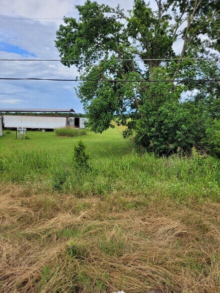 More Photos Of 110 Private Road 7316, Clarksville Land For Sale