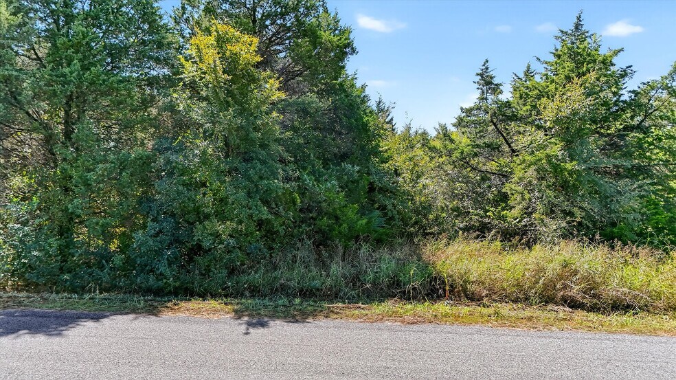 More Photos Of TBD Old Sadler Road, Sadler Land For Sale