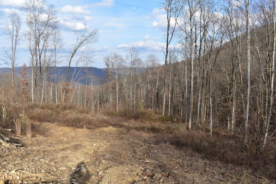 More Photos Of 126 Bolton Point Rd, South Pittsburg Land For Sale
