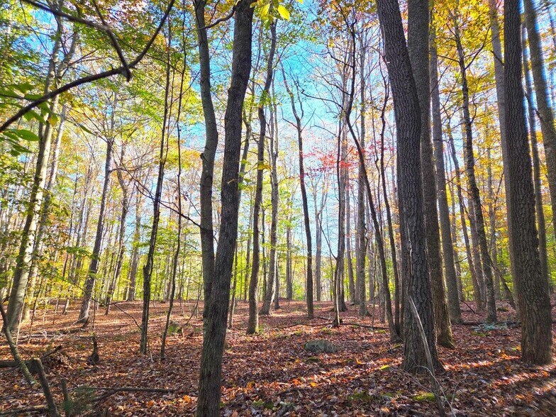 More Photos Of 0 Old Pluto Rd, Shady Spring Land For Sale