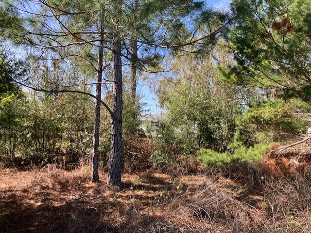 More Photos Of 1083 Obrien Point, Lecanto Land For Sale