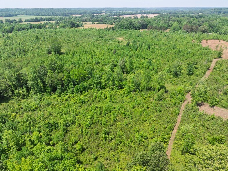 More Photos Of 0 State Route 22a, Enville Land For Sale