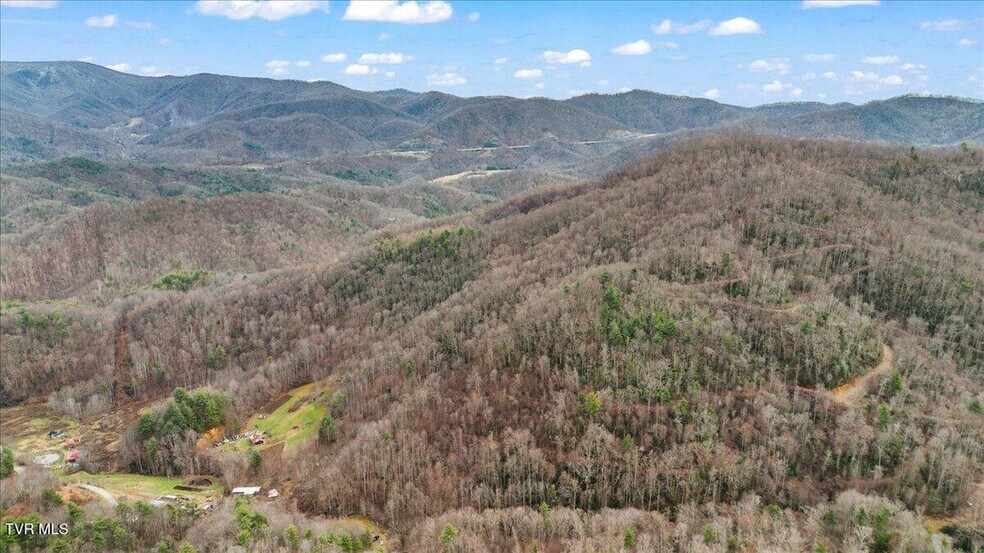 More Photos Of TBD Stockton Rd rd, Flag Pond Land For Sale