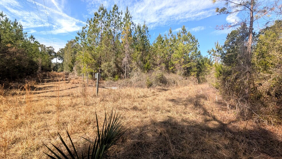 More Photos Of 13550 NW Old Fannin Rd, Chiefland Land For Sale