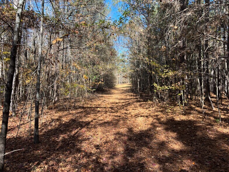 More Photos Of 169 Stone Dr, Belton Land For Sale