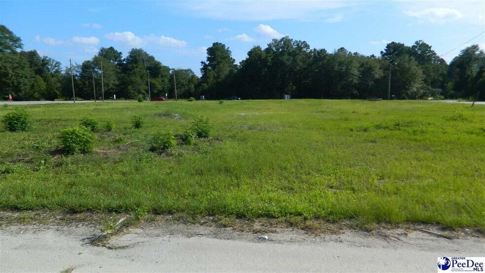 More Photos Of 4603 W Highway 76, Marion Land For Sale