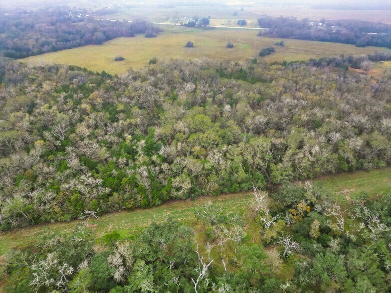 More Photos Of 3559 FM 521 Rd, Brazoria Specialty For Sale