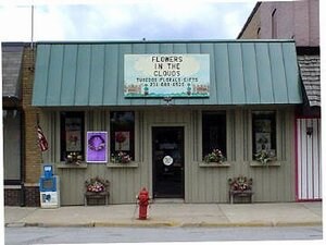 Primary Photo Of 1099 Wilcox, White Cloud Storefront For Sale