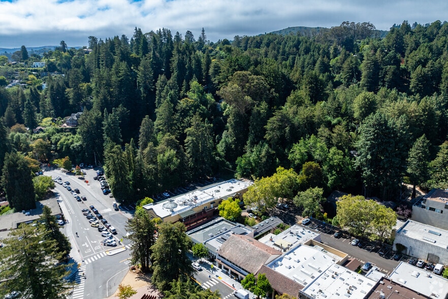 More Photos Of 30 Miller Ave, Mill Valley Storefront For Sale