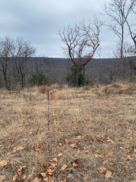 More Photos Of 0000 S 4610 Road, Marble City Land For Sale