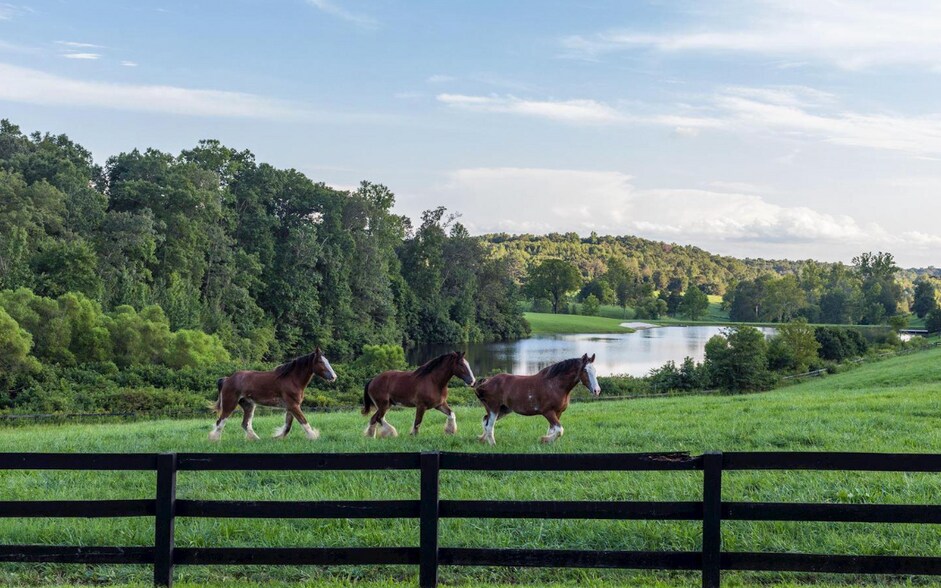 More Photos Of 6887 Blenheim Rd, Scottsville Land For Sale