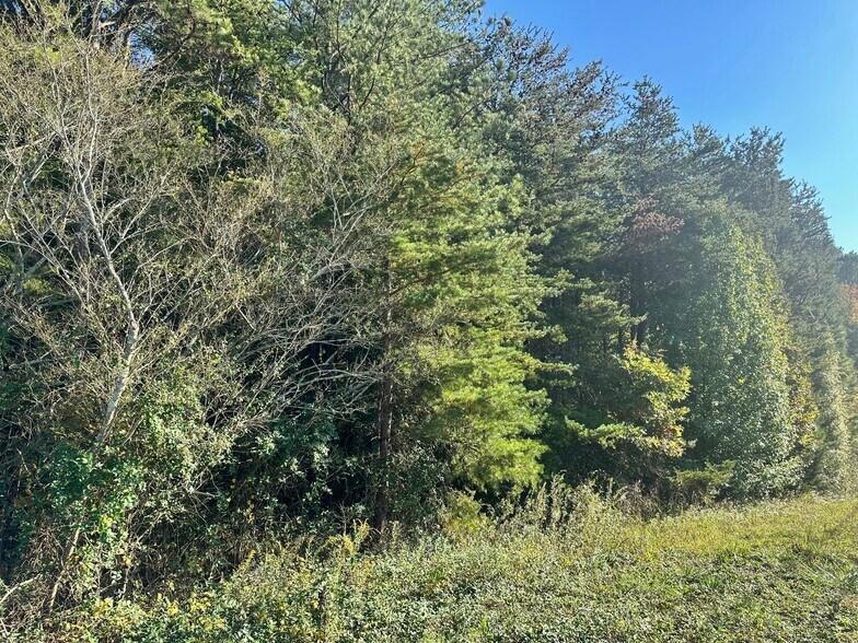 More Photos Of 00 NE Hwy 411, Rydal Land For Sale