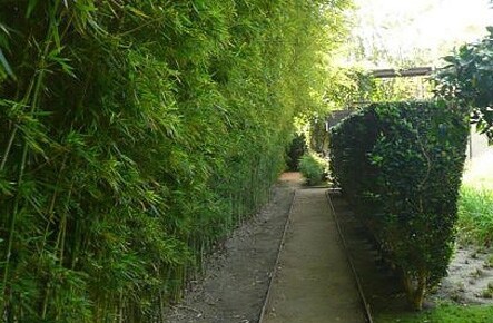 More Photos Of 2021 E 5th St, Austin Office For Lease