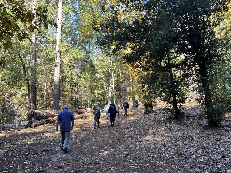 More Photos Of 15960 Bottle Rock Rd, Cobb Hotel For Sale