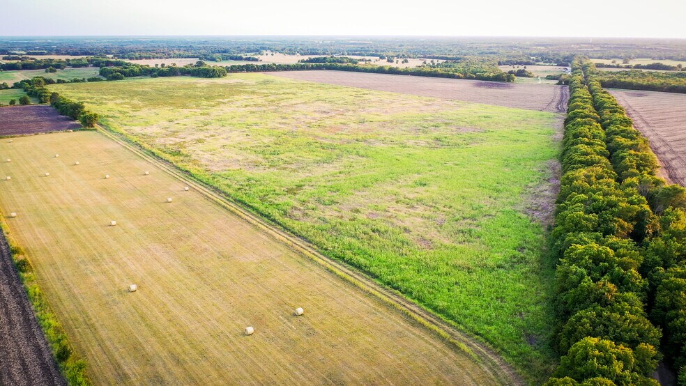 More Photos Of TBD County Road 24800, Brookston Land For Sale