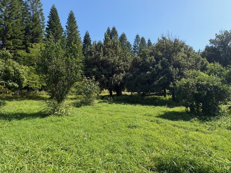 More Photos Of Mamalahoa Hwy, Pahala Land For Sale
