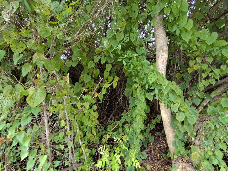 More Photos Of 5470 SE Ebbtide Ave, Stuart Land For Sale