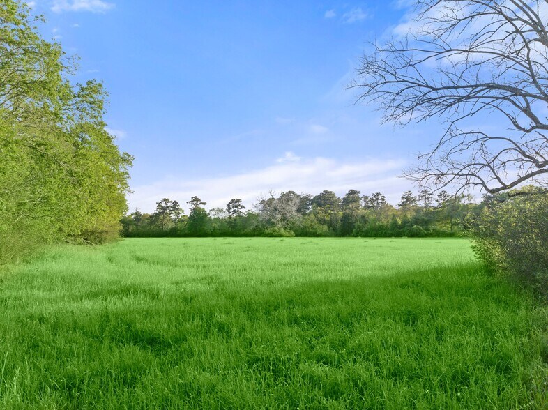 More Photos Of 0000 Farm to Market Road 1488, Magnolia Land For Sale