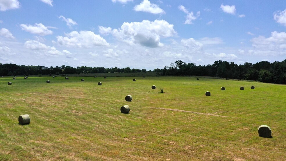 More Photos Of 13530 FM 773, Ben Wheeler Land For Sale