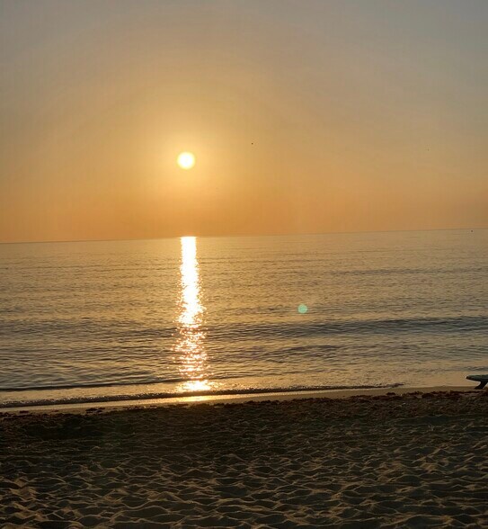 More Photos Of 1501 Arthur St, Hollywood Apartments For Sale