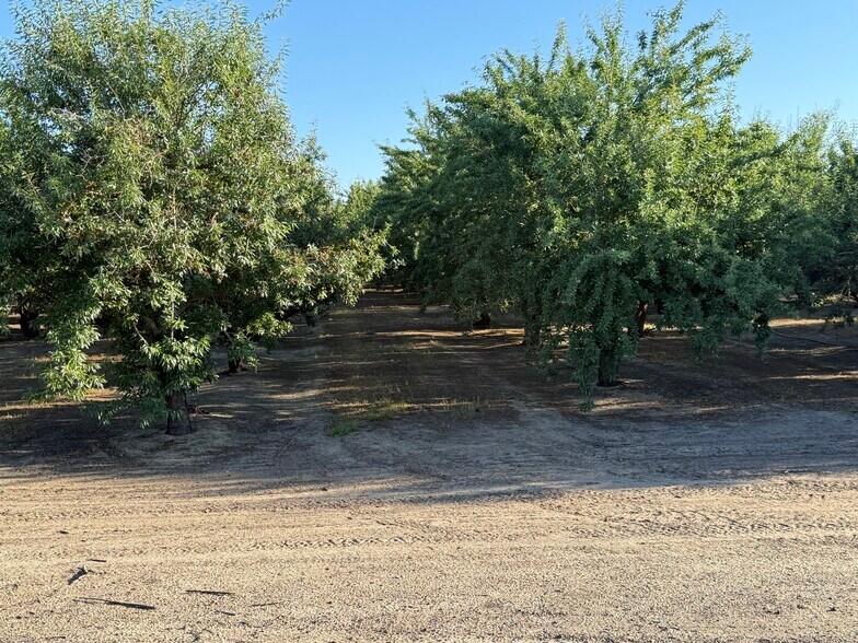 More Photos Of 2700 North Ave ave, Modesto Land For Sale