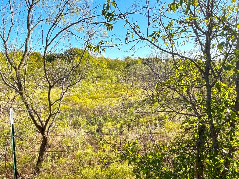 More Photos Of TBD HWY 289, Gunter Land For Sale