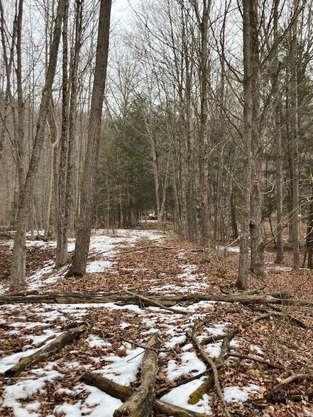 More Photos Of 45017 Marshalls Creek Road,, East Stroudsburg Land For Sale