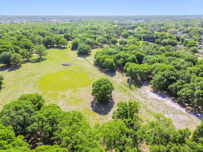 More Photos Of 12500 Hamlin Rd, Spring Hill Land For Sale