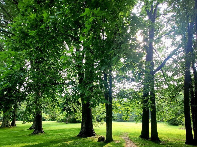 More Photos Of , North Lima Land For Sale